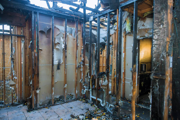Professional Smoke Damage Removal technician working in Port Richey, FL